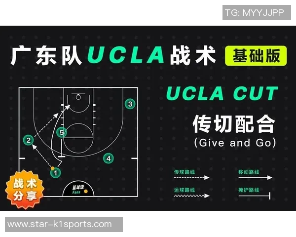 体育实时数据重庆羽毛球队进攻体系解析与战术运用探讨